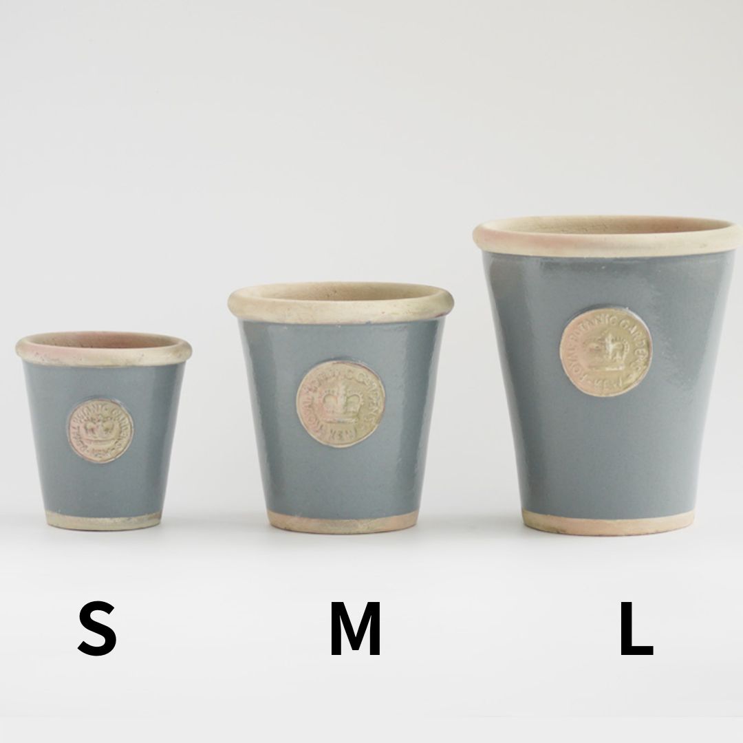 Kew Pots �ѥ������֥롼 S������ ����ȭ ���塼�ݥå�