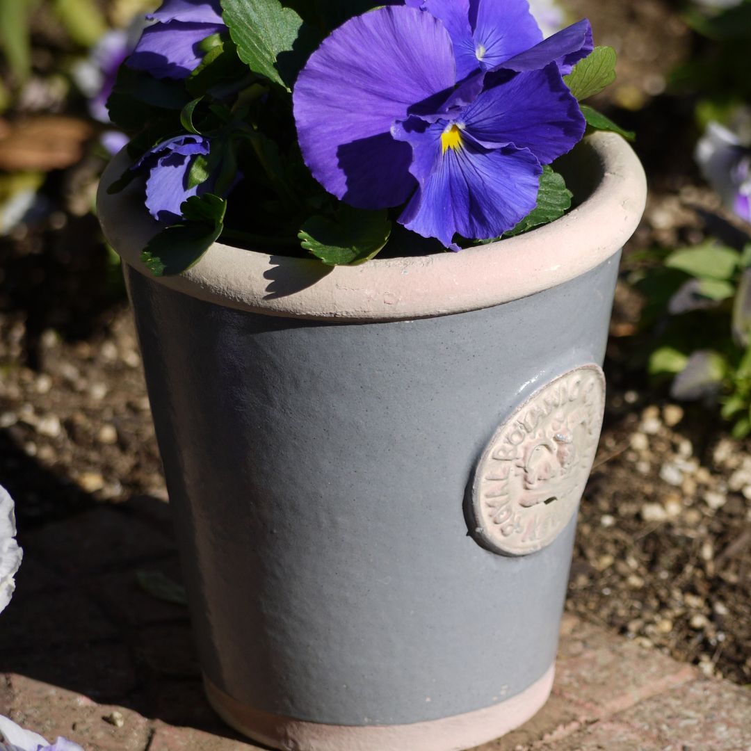 Kew Pots �ѥ������֥롼 S������ ����ȭ ���塼�ݥå�