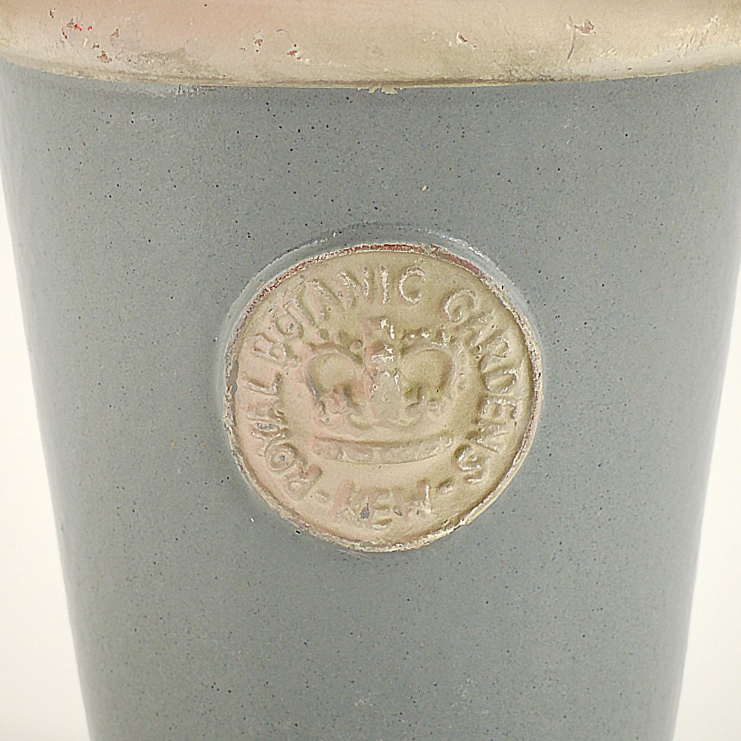 Kew Pots �ѥ������֥롼 S������ ����ȭ ���塼�ݥå�