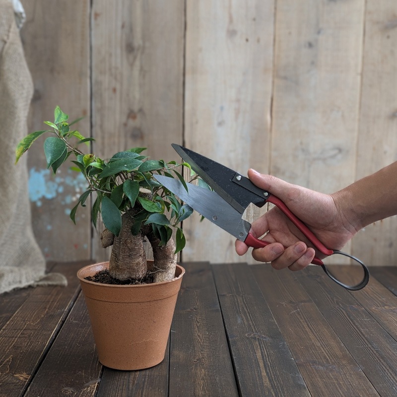 K&S������Ф��ߡ��������ڴ����ѡ�4mm