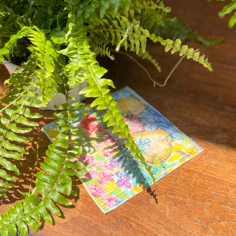 �̲����������ǥ󡡥����ƥå��������ݥ󥸥��������磻�ס��۶ҡ��ݥåȡ�1��