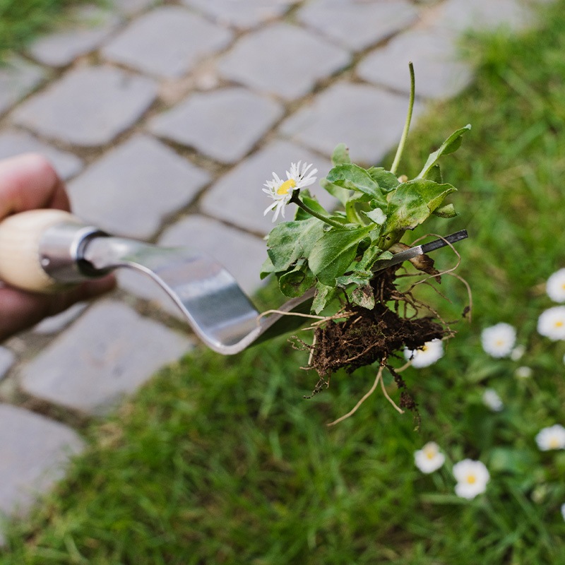 K&S��������