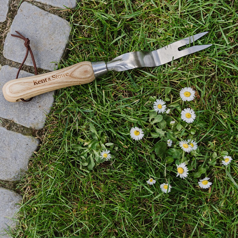 K&S��������