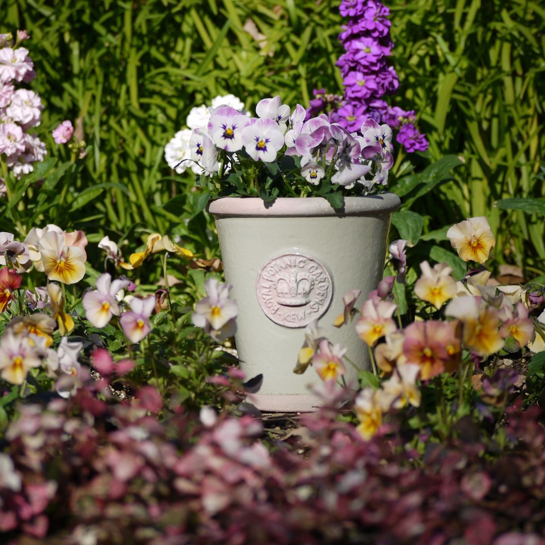 Kew Pots �ե������졼 S������ ����ȭ ���塼�ݥå�