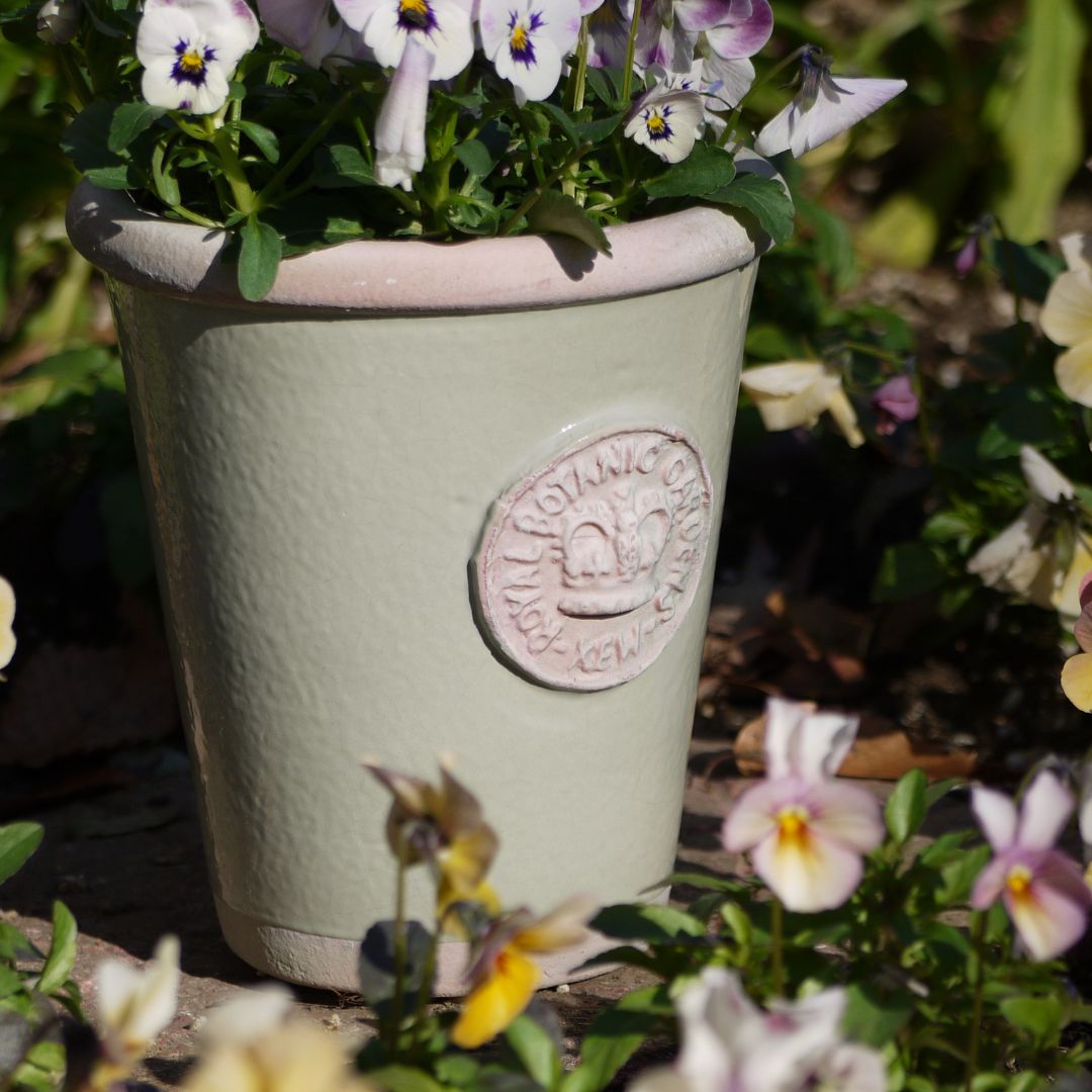 Kew Pots �ե������졼 S������ ����ȭ ���塼�ݥå�