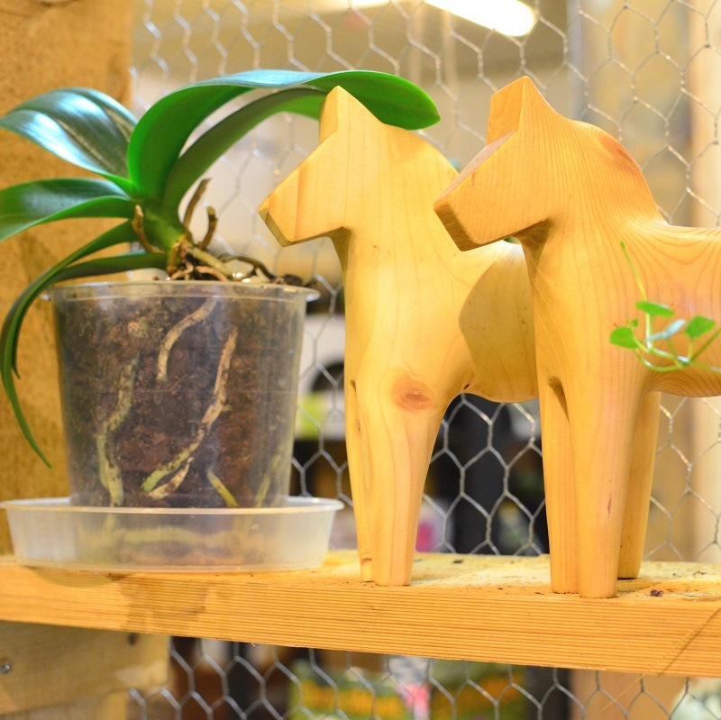 �ֹ����򱿤֥�����ʥۡ����ס����������ǥ������