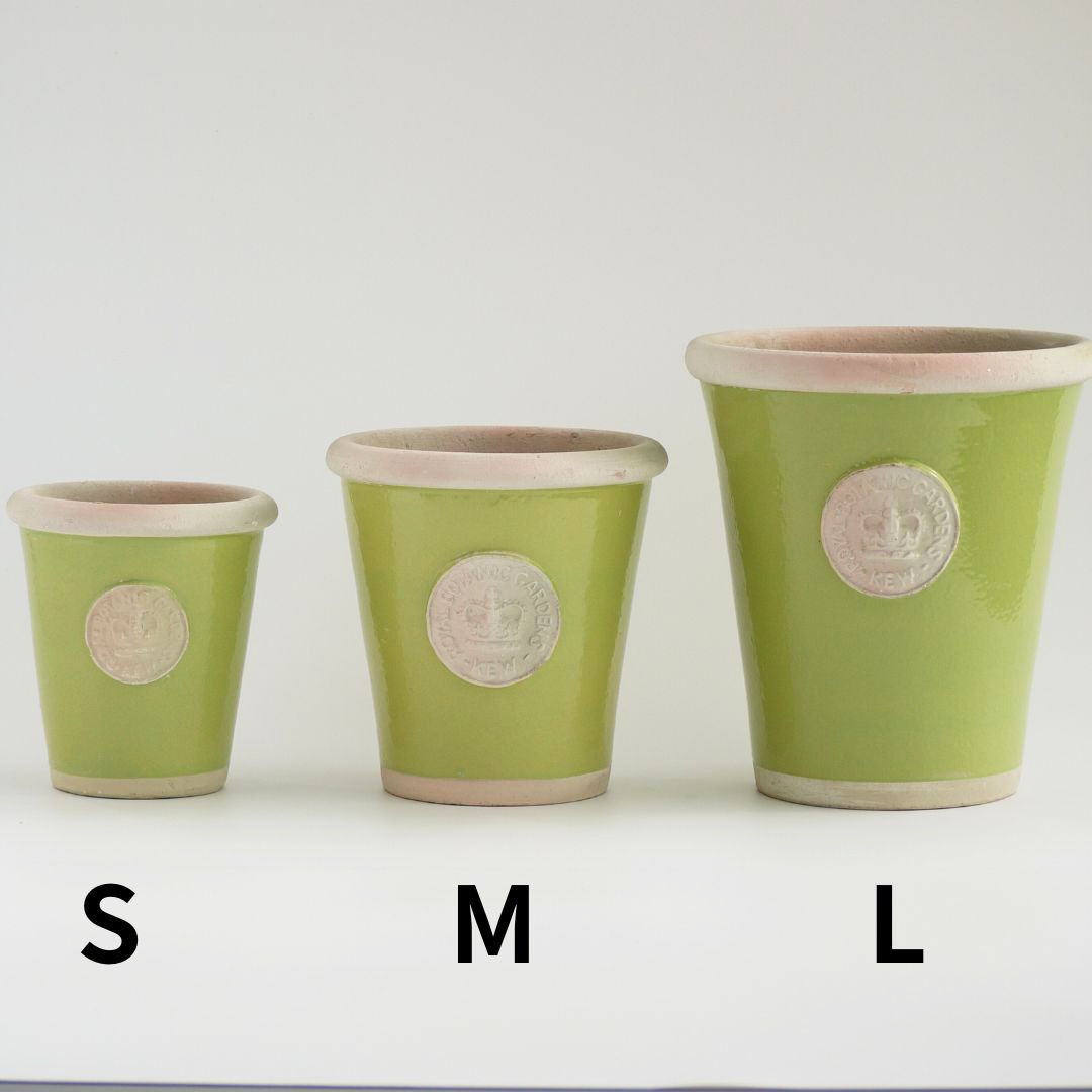 Kew Pots �饤�� S������ ����ȭ ���塼�ݥå�