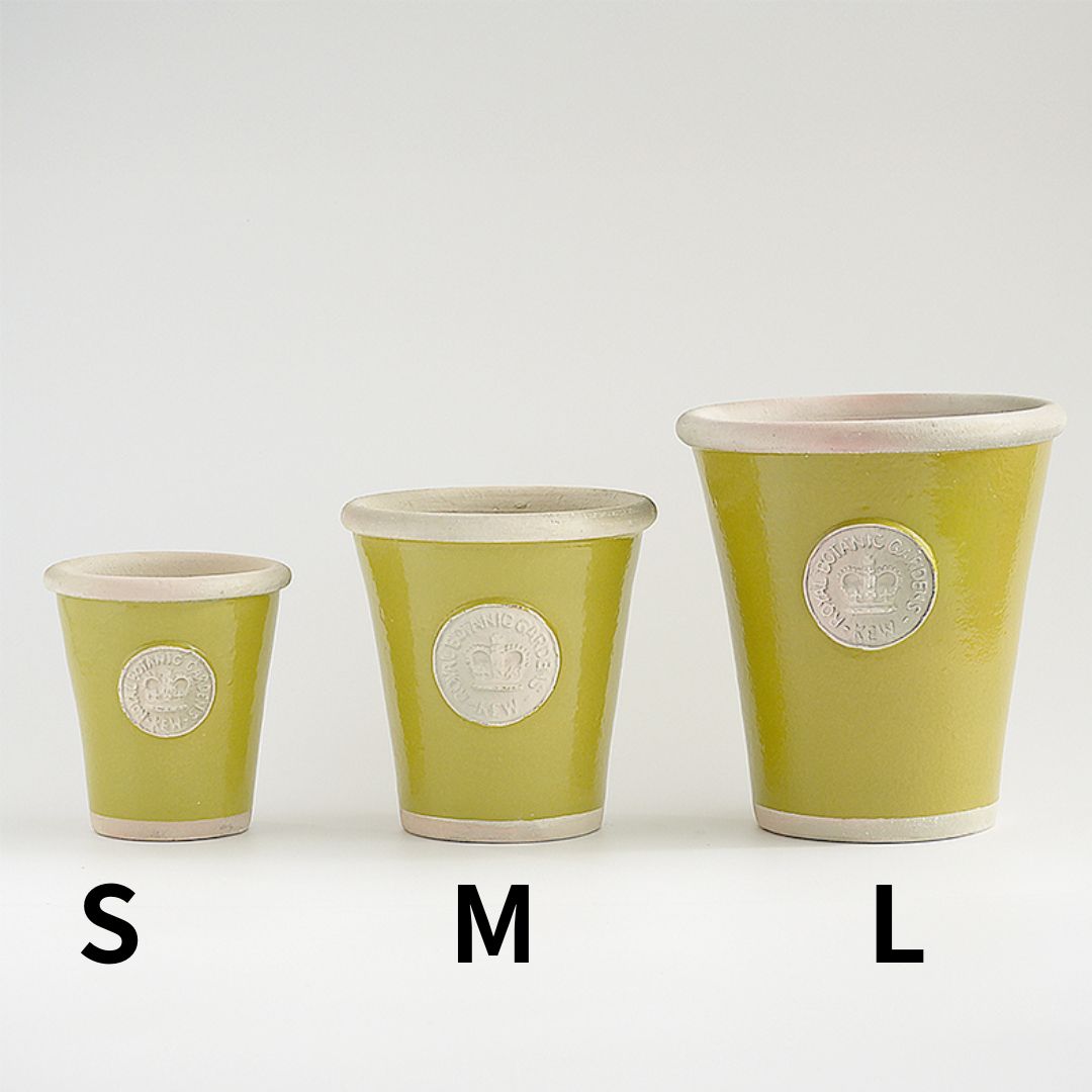 Kew Pots �饹�ƥ��å����꡼�� S������ ����ȭ ���塼�ݥå�