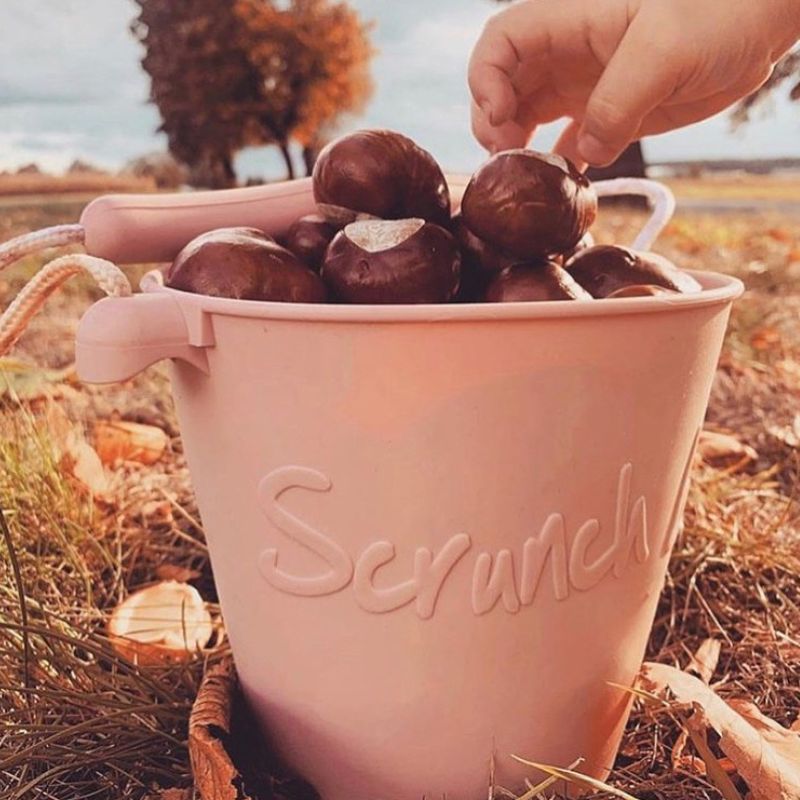 Scrunch���Х��ġ�������ɥԥ󥯡��Ҷ��ѡ����ꥳ��������1.5L 