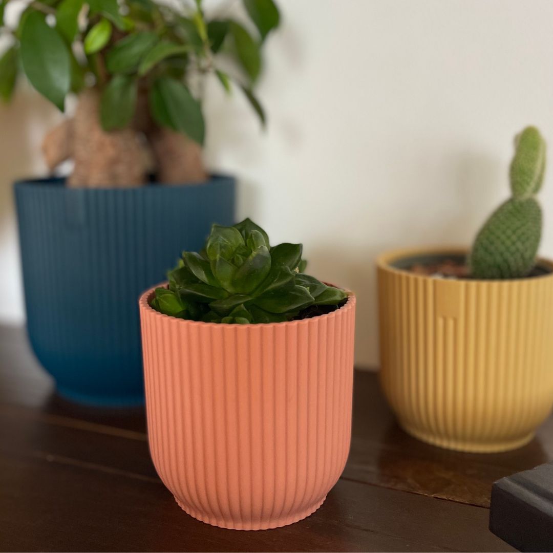 elho ȭ 9cm ꥵץ饹åݥå ԥ