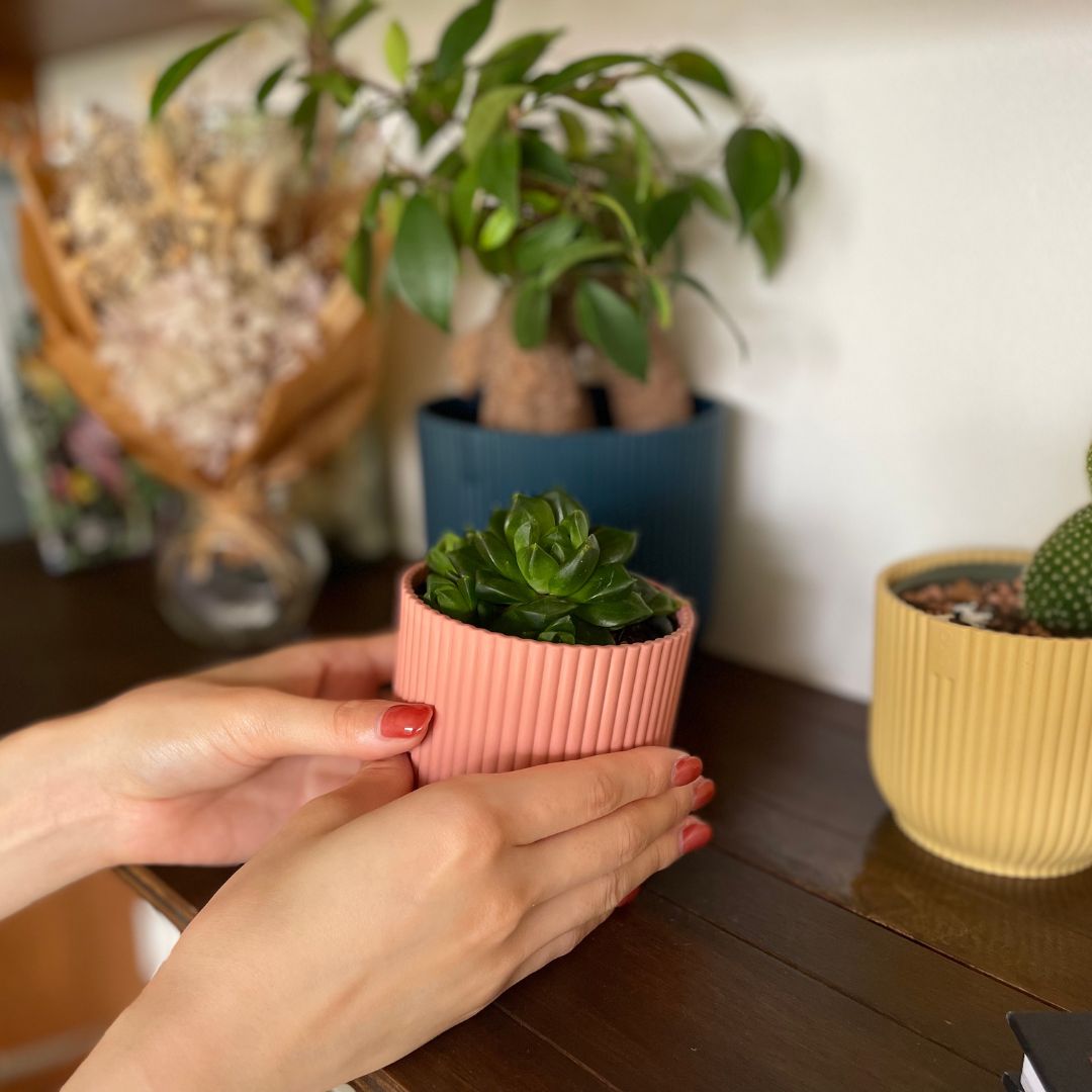 elho ȭ 9cm ꥵץ饹åݥå ԥ