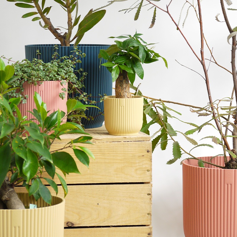 elho ȭ 9cm ꥵץ饹åݥå ԥ