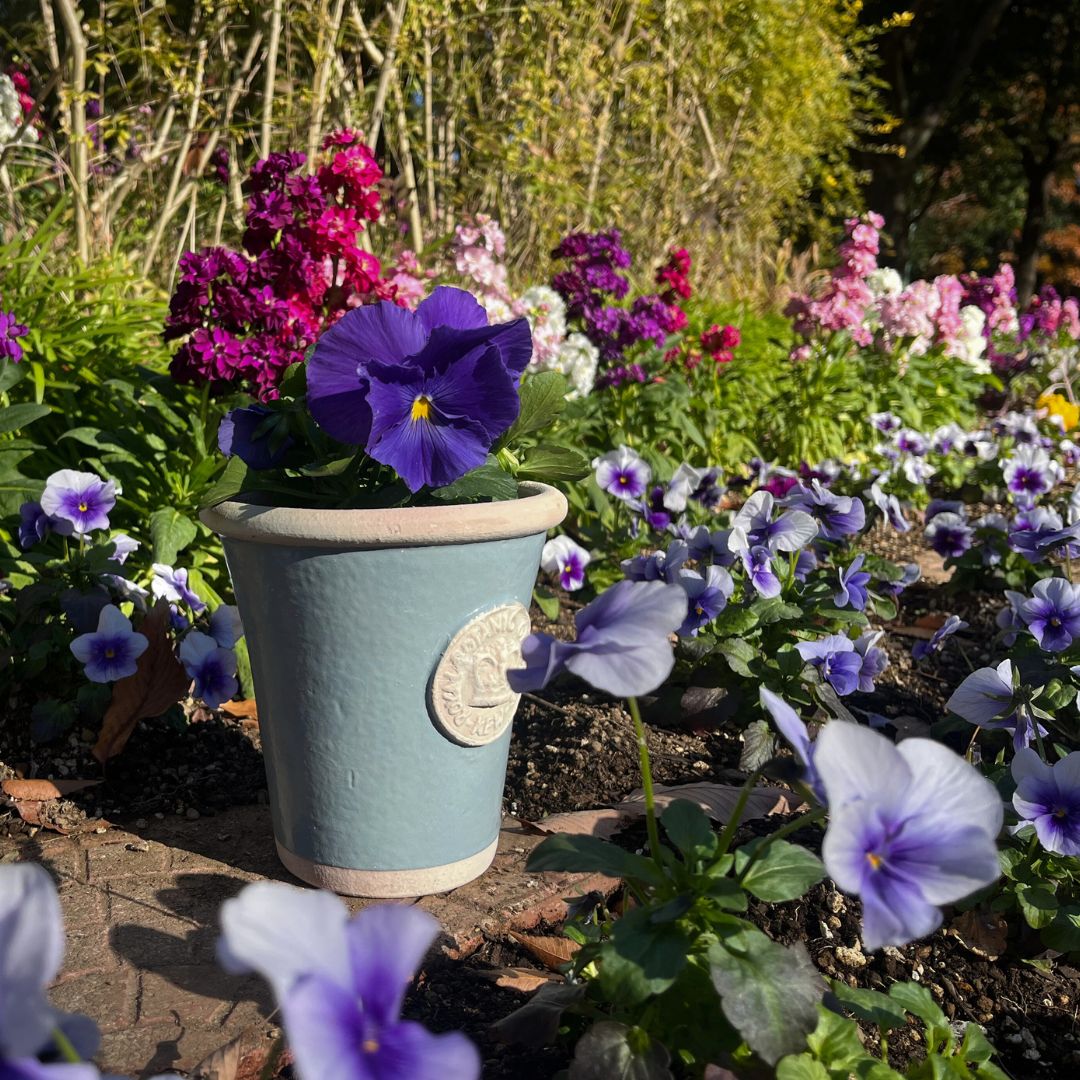 Kew Pots 󥸥ʥӥ֥롼 S ȭ 塼ݥå