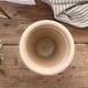 SALE10%OFFKew Pots 饤ȥ졼 L ȭ 塼ݥå