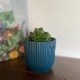 SALE10%OFFelhoꥵץ饹åݥåȡȭ9cm֥롼