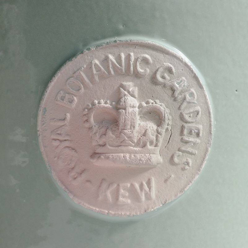 Kew Pots 㡼ȥ륰꡼ L ȭ 塼ݥå