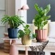 SALE10%OFFۡڥåȭդelho ȭ 14cm ꥵץ饹åݥå 