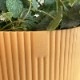 SALE10%OFFۡڥåȭդelho ȭ 14cm ꥵץ饹åݥå 