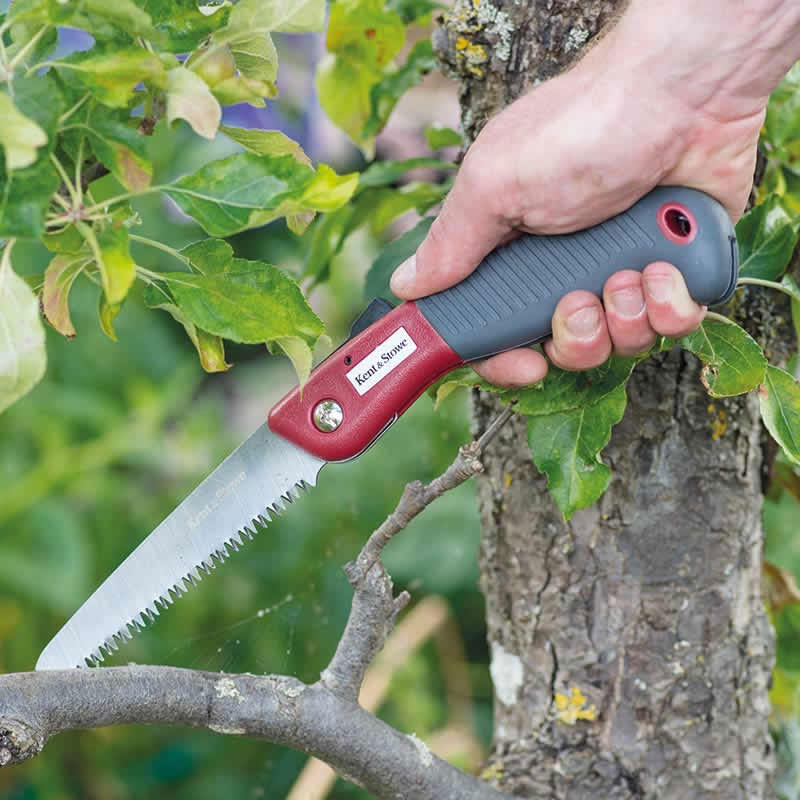 K&S���ޤꤿ���ߥΥ�����