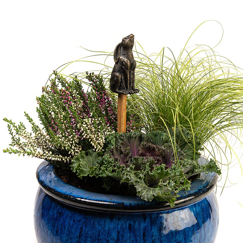 Cane Companions, Hare (������)