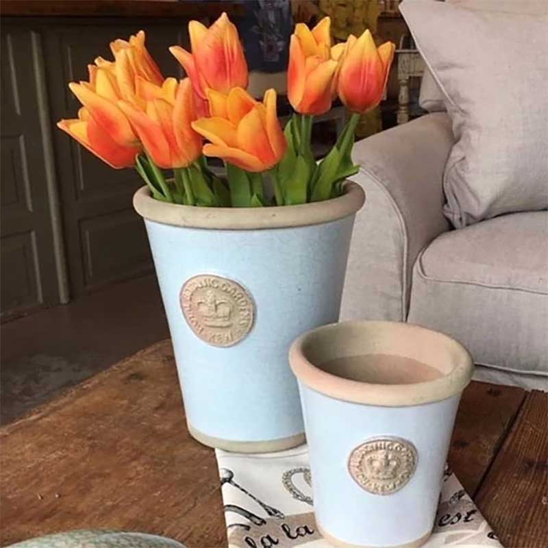 Kew Pots åå֥롼 L ȭ 塼ݥå