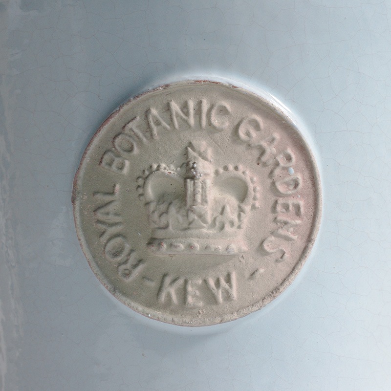 Kew Pots åå֥롼 L ȭ 塼ݥå