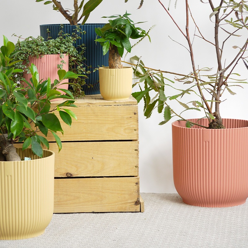 elho ȭ 22cm ꥵץ饹åݥå 