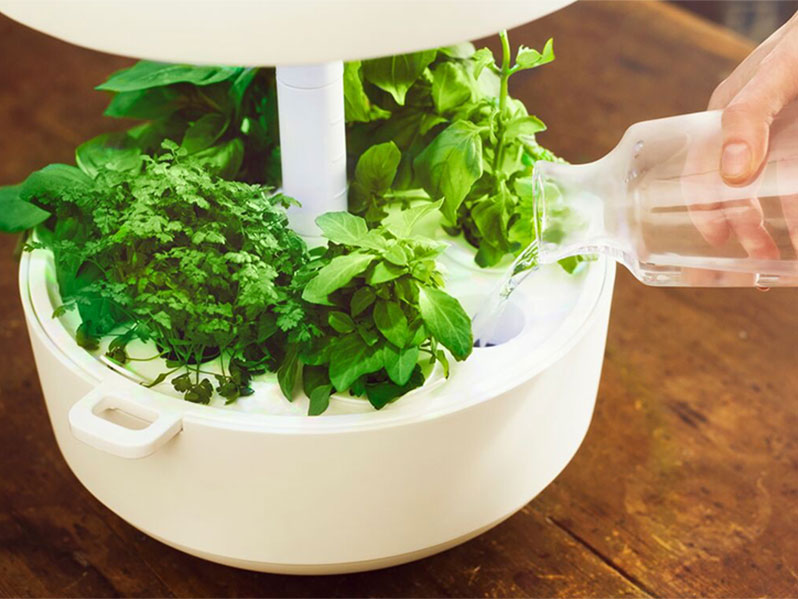 80OFFڽʡۼư̺ݴץȥ6ۥ磻