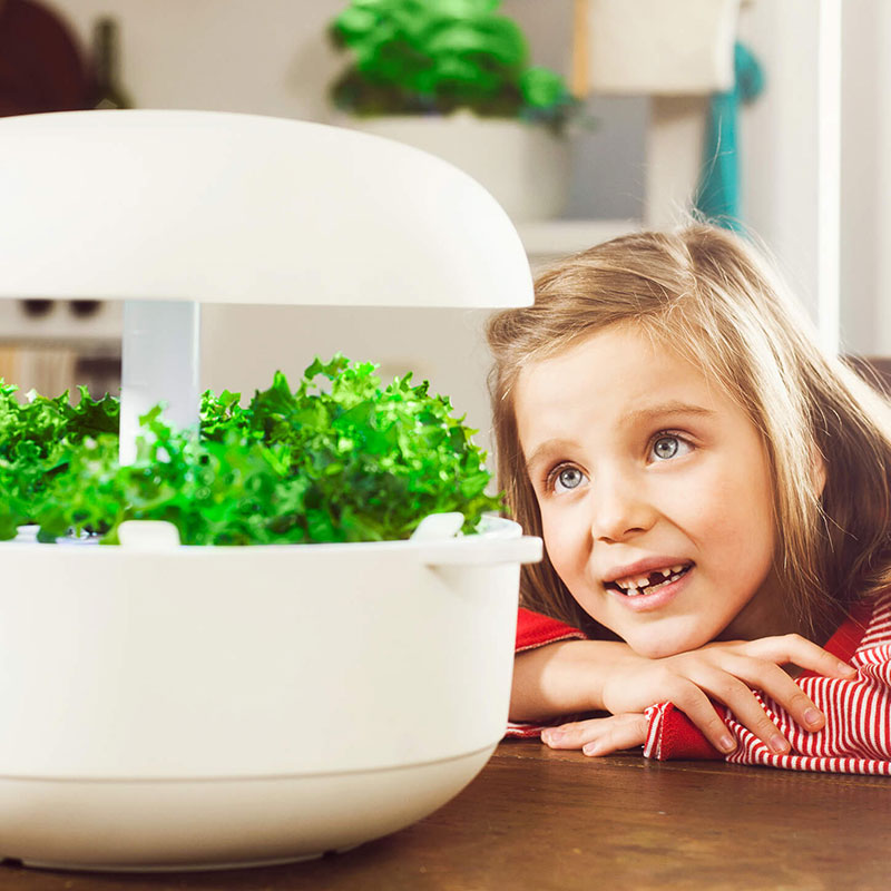 80OFFڽʡۼư̺ݴץȥ6ۥ磻