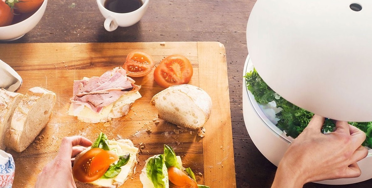 80OFFڽʡۼư̺ݴץȥ6ۥ磻