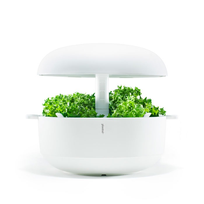 80OFFڽʡۼư̺ݴץȥ6ۥ磻