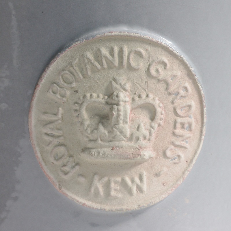 Kew Pots 饤ȥ졼 M ȭ 塼ݥå