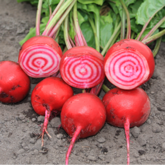 ͭ����� �ӡ��ġ��ӡ��ȡ�����������䡡�����������˥å������ɡ���ڤμ�