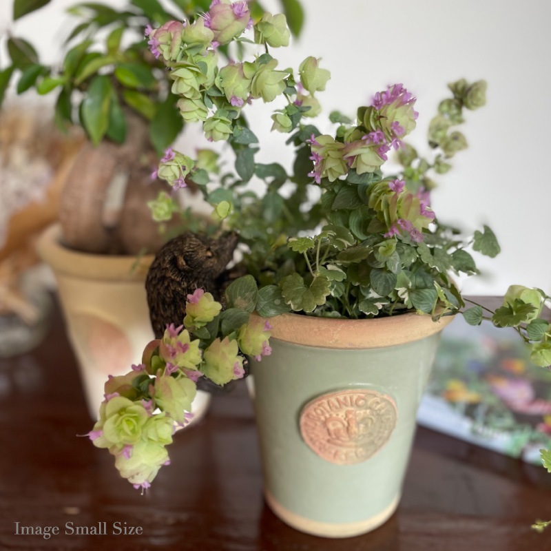 Kew Pots 㡼ȥ륰꡼ M ȭ 塼ݥå