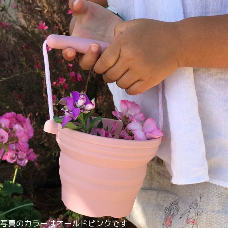 Scrunch���ߥ˥Х��ġ�����٥륻�åȡ����ȥ��٥꡼��åɡ��Ҷ��ѡ����ꥳ������