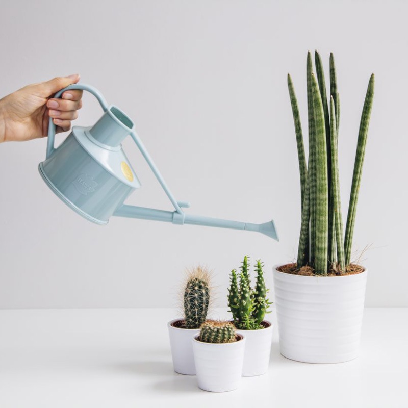 HAWS���ץ饹���å����礦����0.7L������ѥ��ȡ����å����å��֥롼