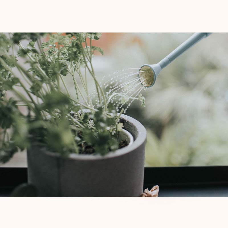 HAWS���ץ饹���å����礦����0.7L������ѥ��ȡ����å����å��֥롼