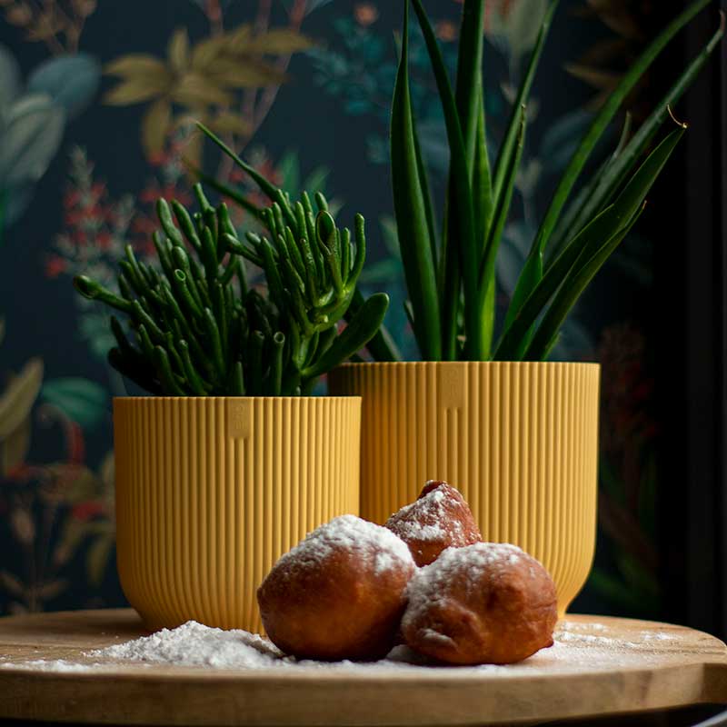 elho ȭ 16cm ꥵץ饹åݥå 