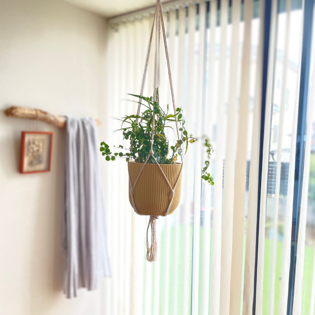 elho ȭ 16cm ꥵץ饹åݥå 