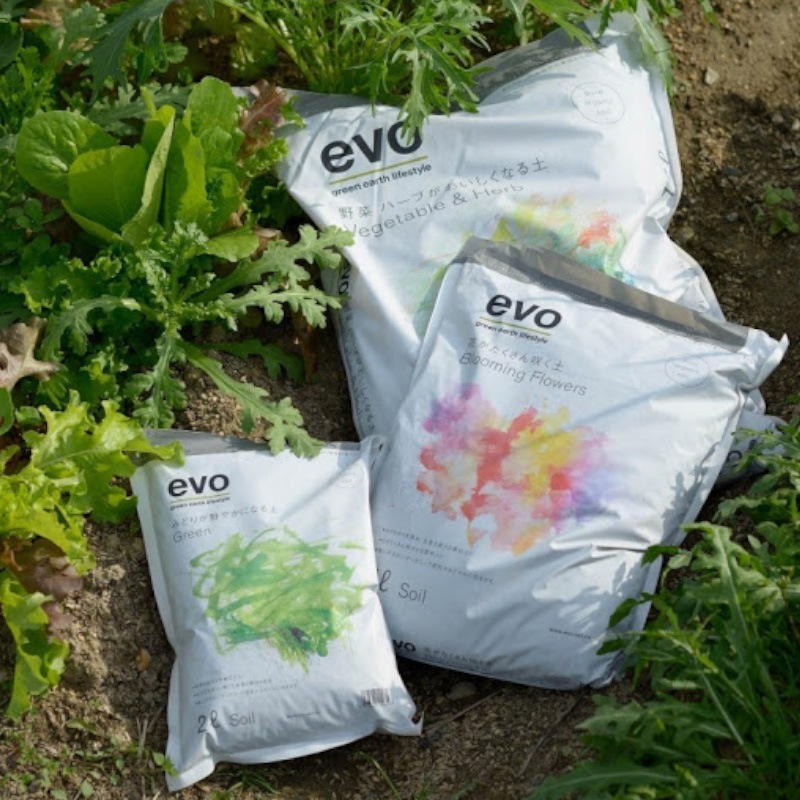 evo���ߤɤ꤬���䤫�ˤʤ��ڡ�12L