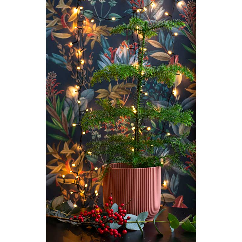 elho ȭ 16cm ꥵץ饹åݥå ԥ󥯡