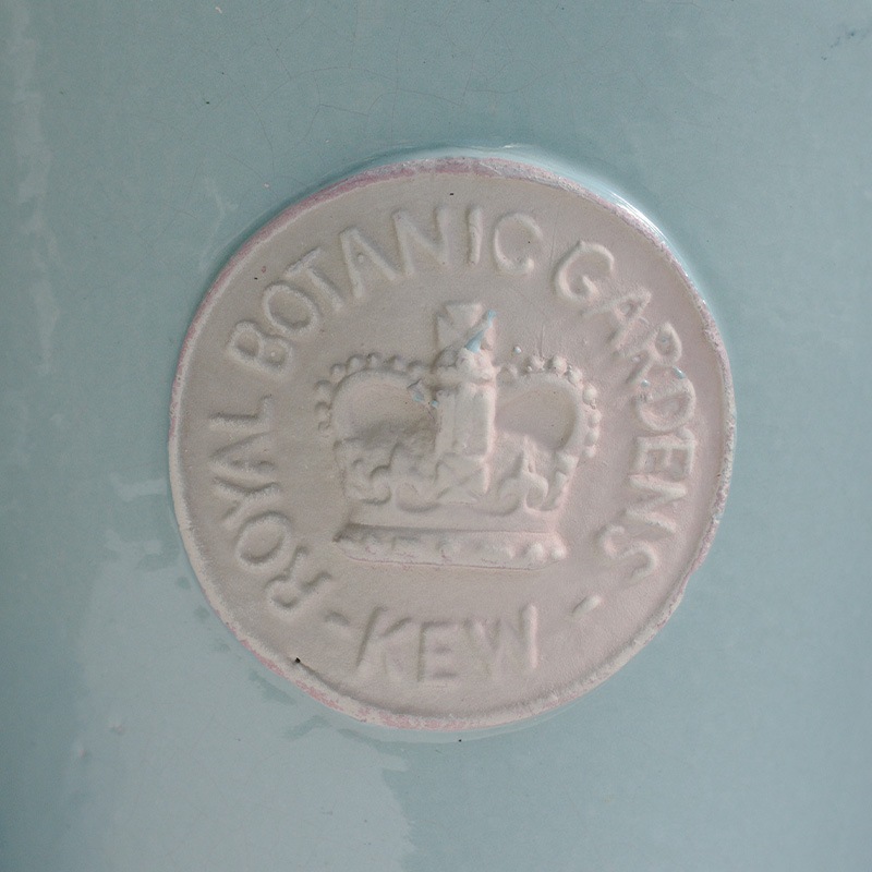 Kew Pots ƥեˡ֥롼 M ȭ 塼ݥå