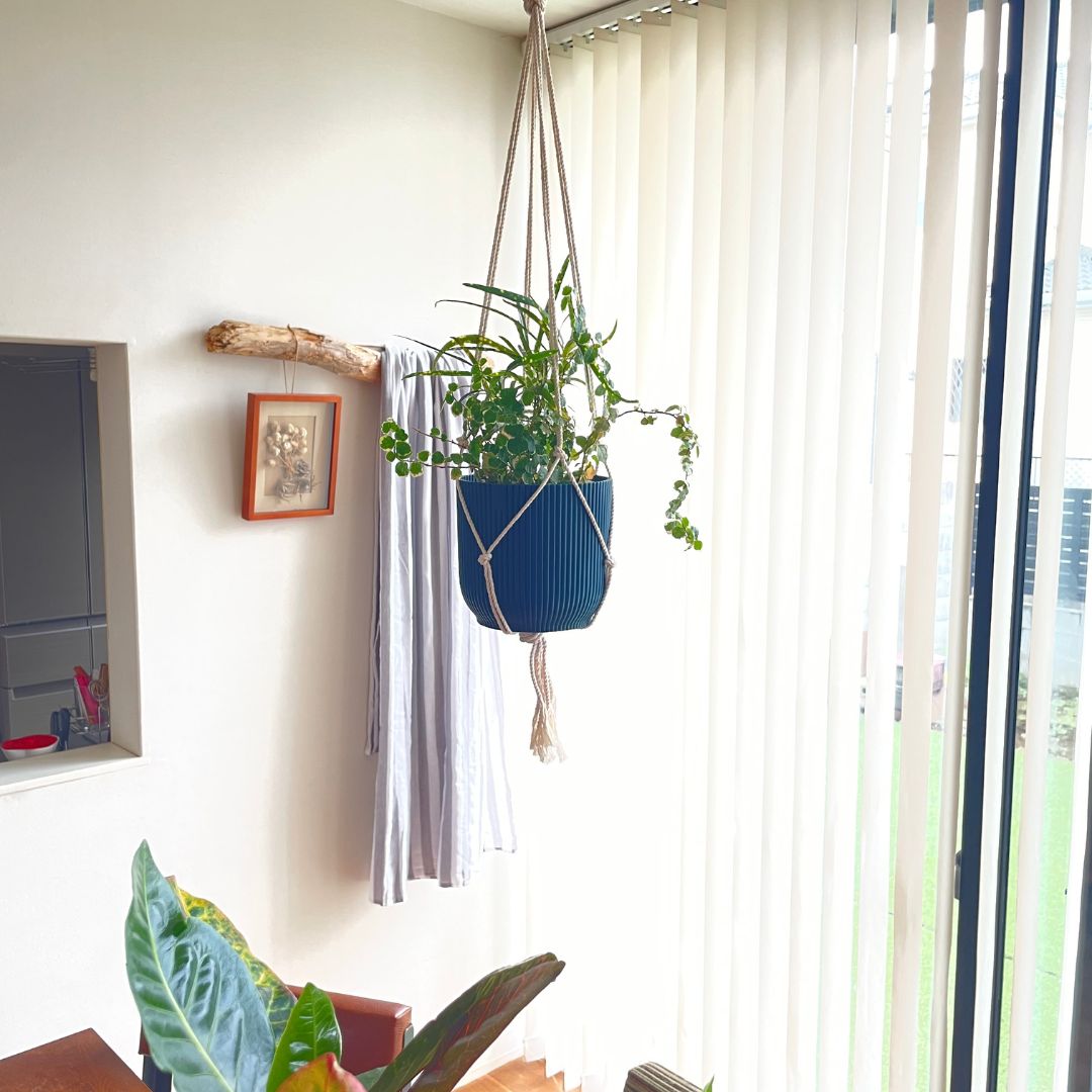 elho ȭ 16cm ꥵץ饹åݥå ֥롼