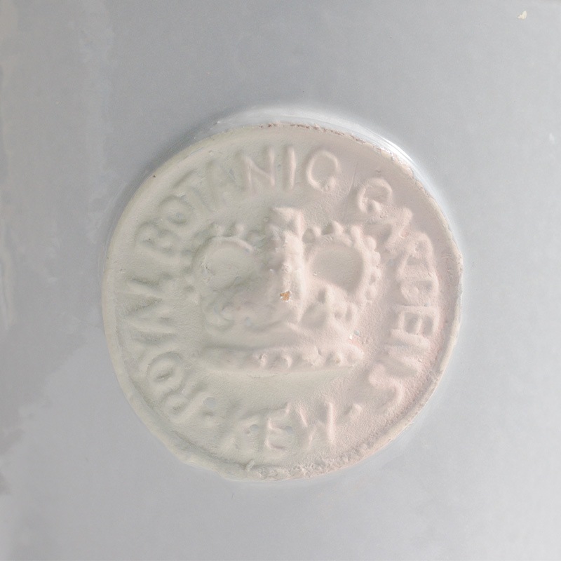 Kew Pots 饤ȥ졼 S ȭ 塼ݥå