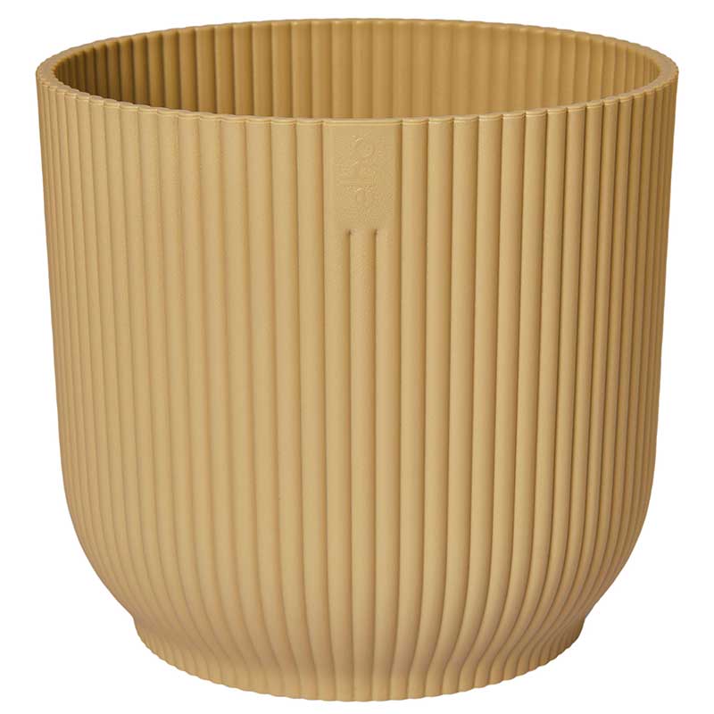 elho ȭ 25cm ꥵץ饹åݥå 