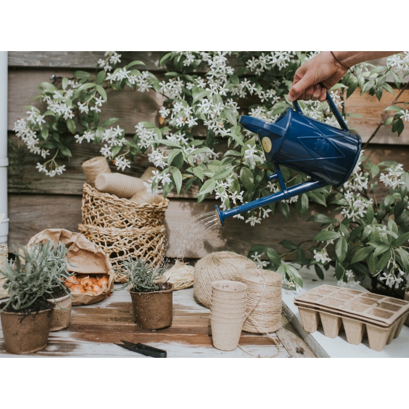 HAWS���ץ饹���å����礦����1L������ѥ��ȡ��֥롼