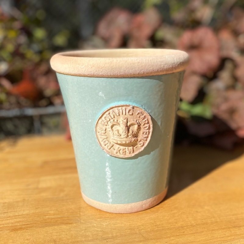 Kew Pots  ���㡼�ȥ����륰�꡼�� S������ ����ȭ ���塼�ݥå�