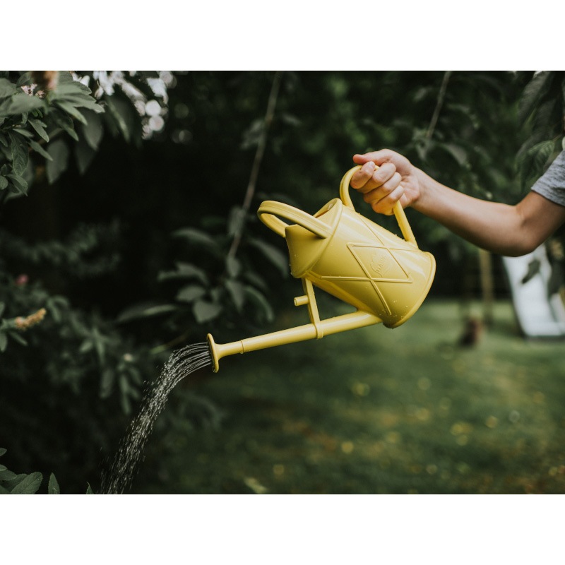 HAWS���ץ饹���å����礦����1L������ѥ��ȡ���������