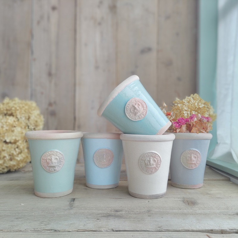 Kew Pots �����ܥ꡼ S������ ����ȭ ���塼�ݥå�