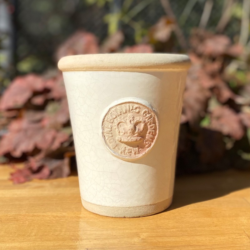 Kew Pots �����ܥ꡼ S������ ����ȭ ���塼�ݥå�